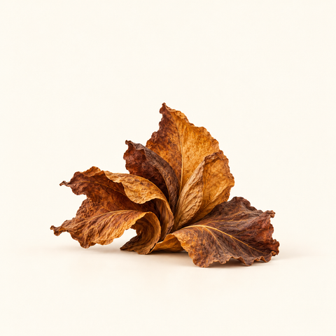 Tobacco Velvet